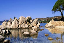 克罗地亚vs巴西的比赛有哪些精彩回放瞬间?